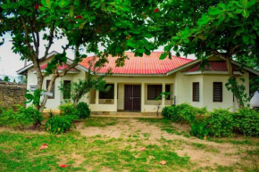 Affordable karura and friends